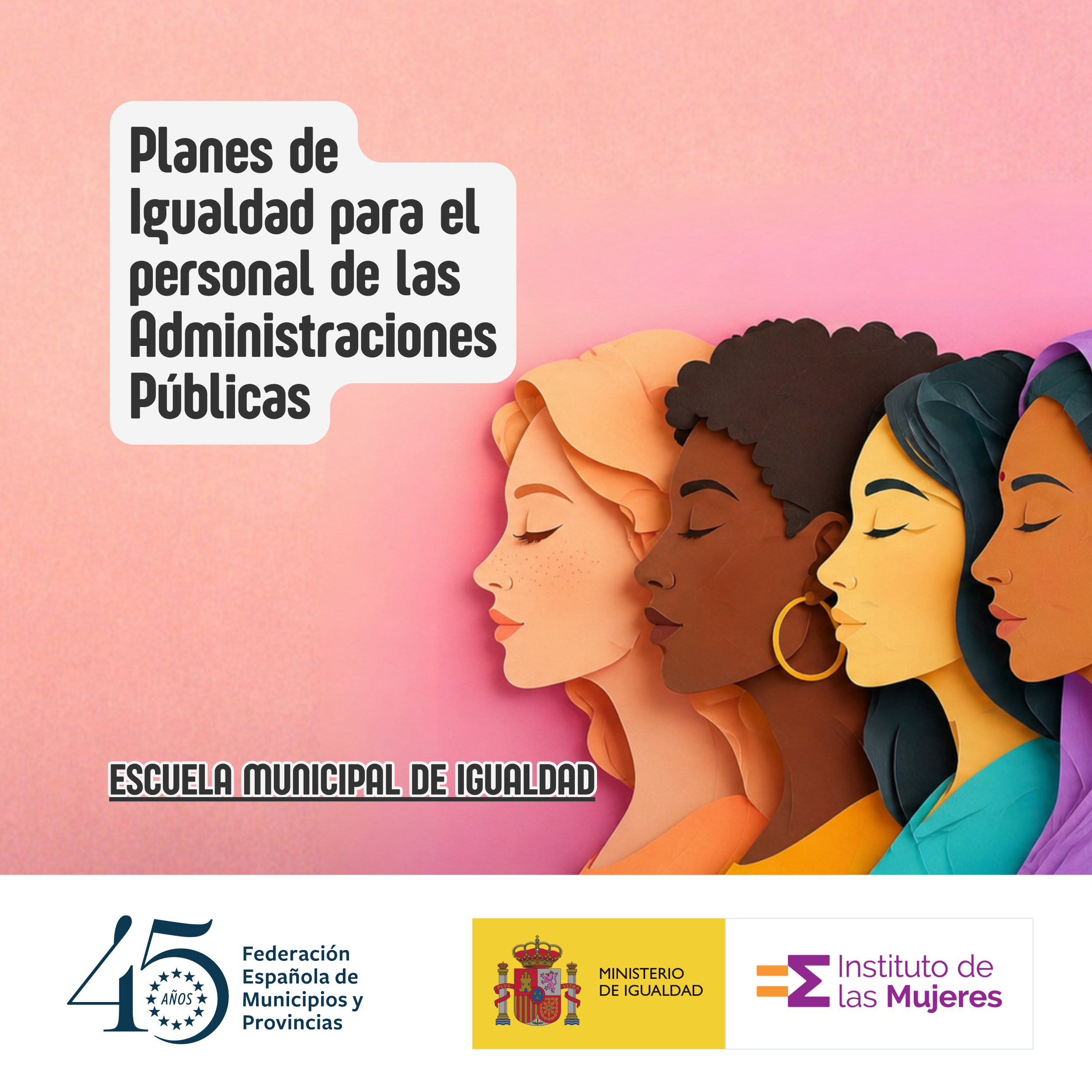 Curso Planes de Igualdad para el personal de las administraciones públicas. Puesta en marcha, seguimiento y evaluación. 2ª edición